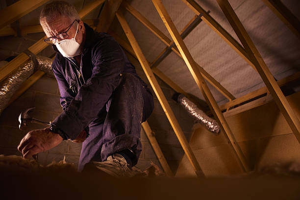 Best DIY Insulation Kits and Guidance in Hockinson, WA